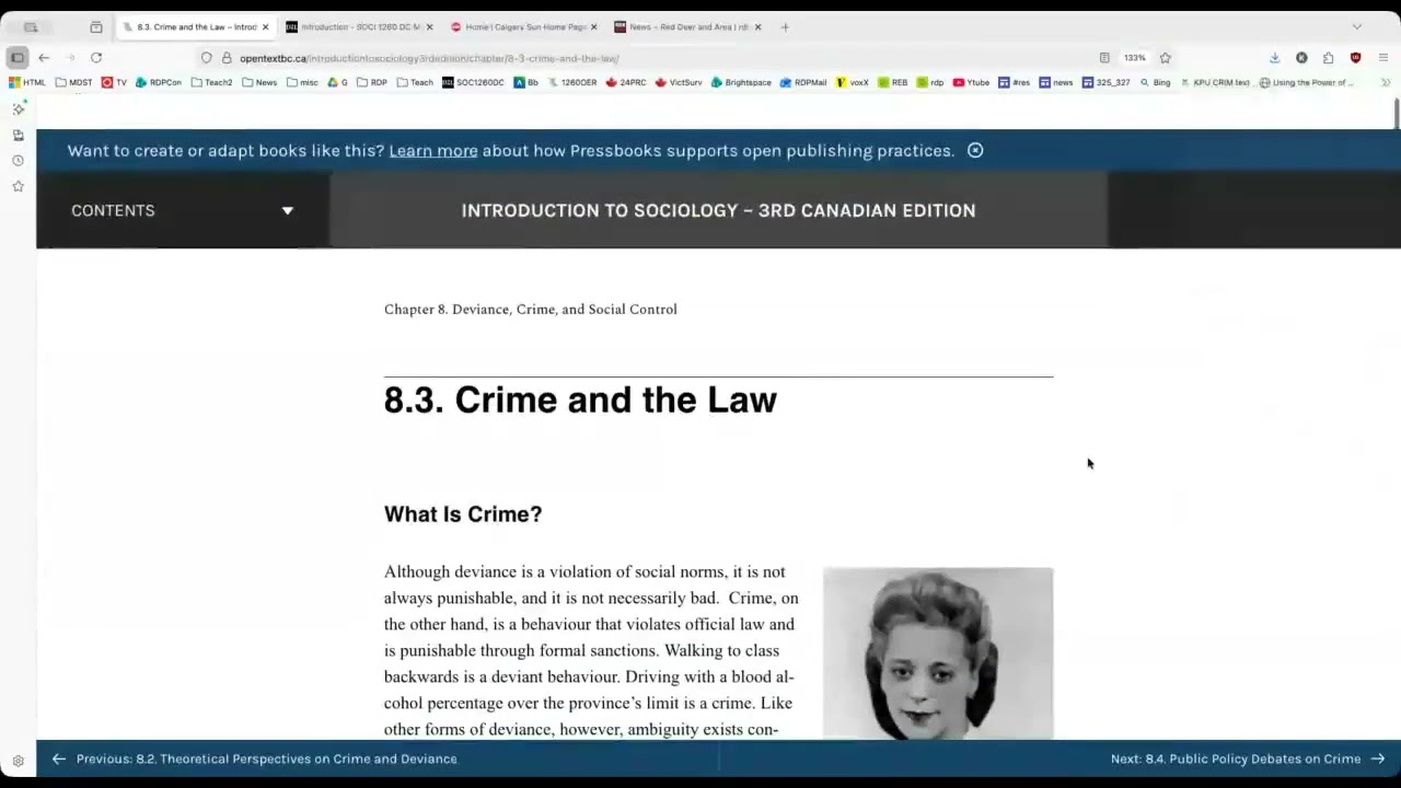 Video 3 Crime & Deviance