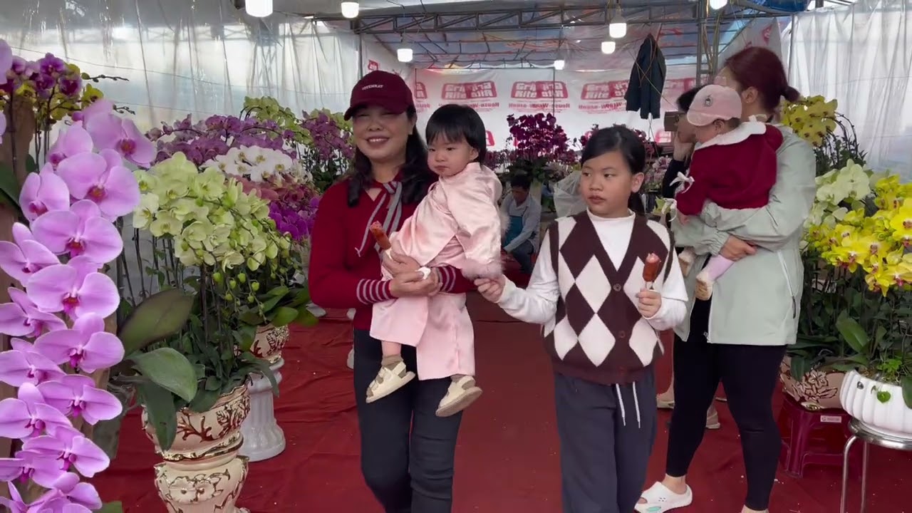 Xuan Bính ngọ 2026