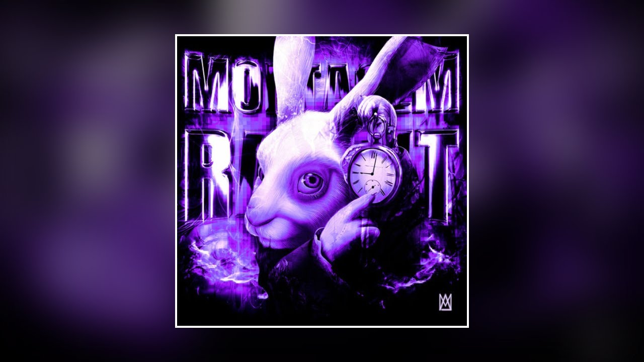 MONTAGEM RABBIT