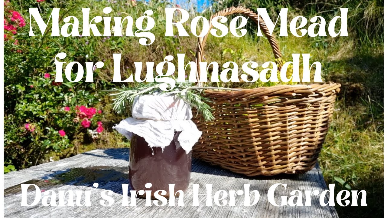 Making Rose Mead for Lughnasadh