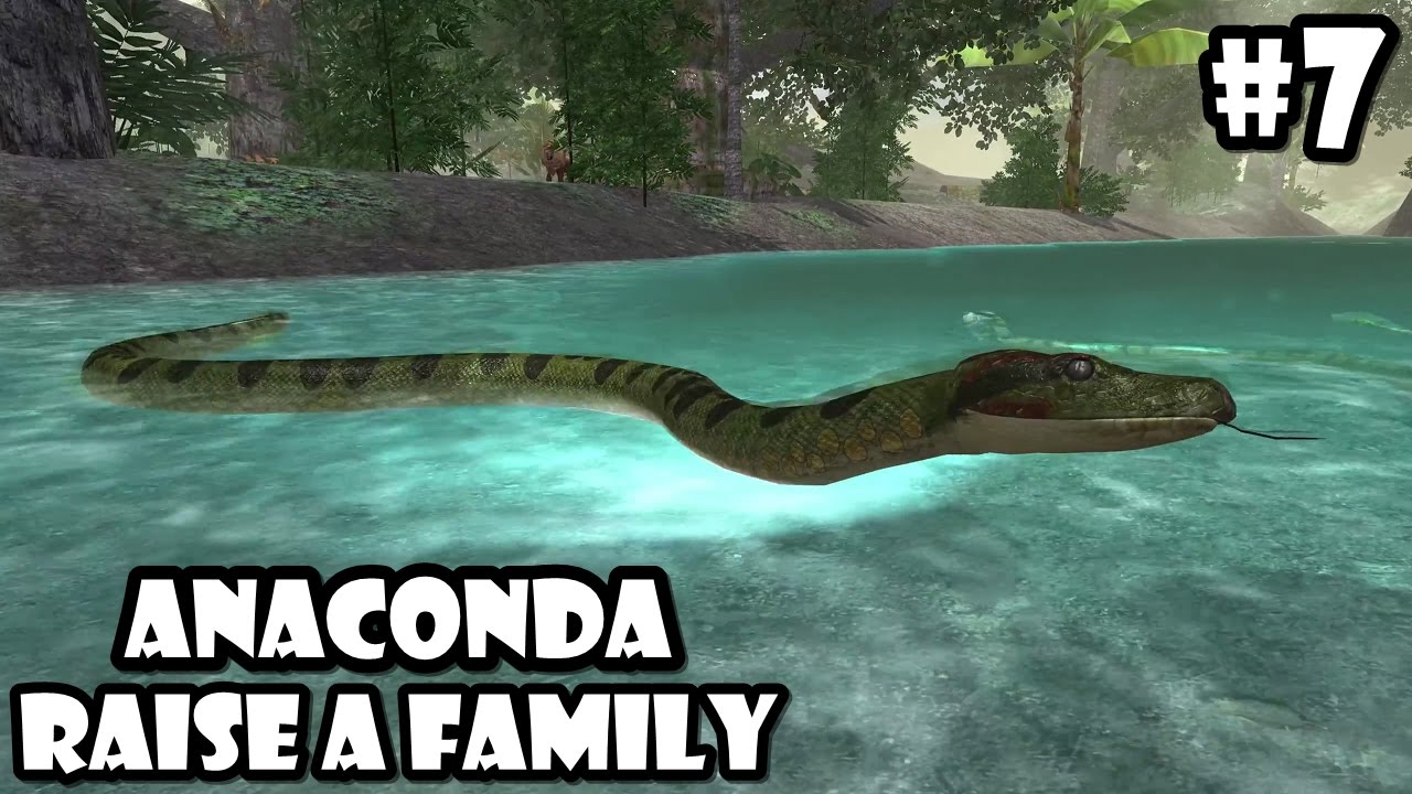 Ultimate Jungle Simulator - Anaconda  : Raise a Family  - Android/iOS - Gameplay Episode 7