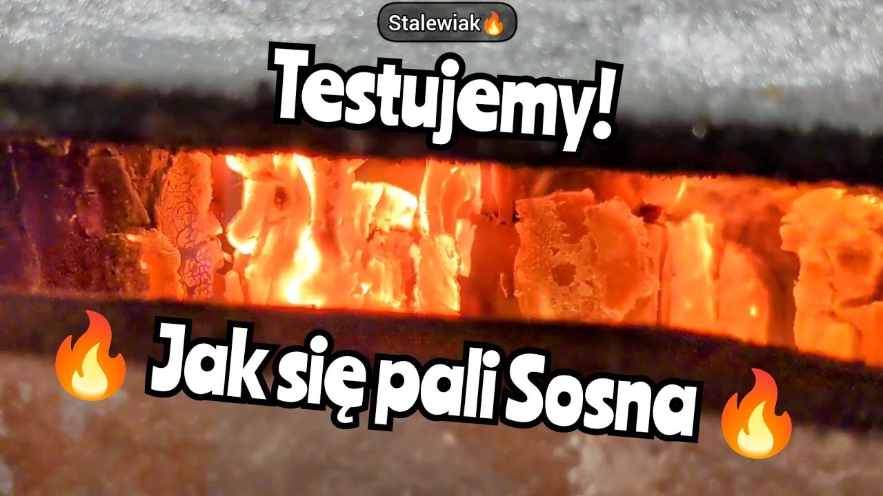 🔥 Jak się pali sucha sosna w kotle centralnego ogrzewania. Czy warto? Testujemy🔥