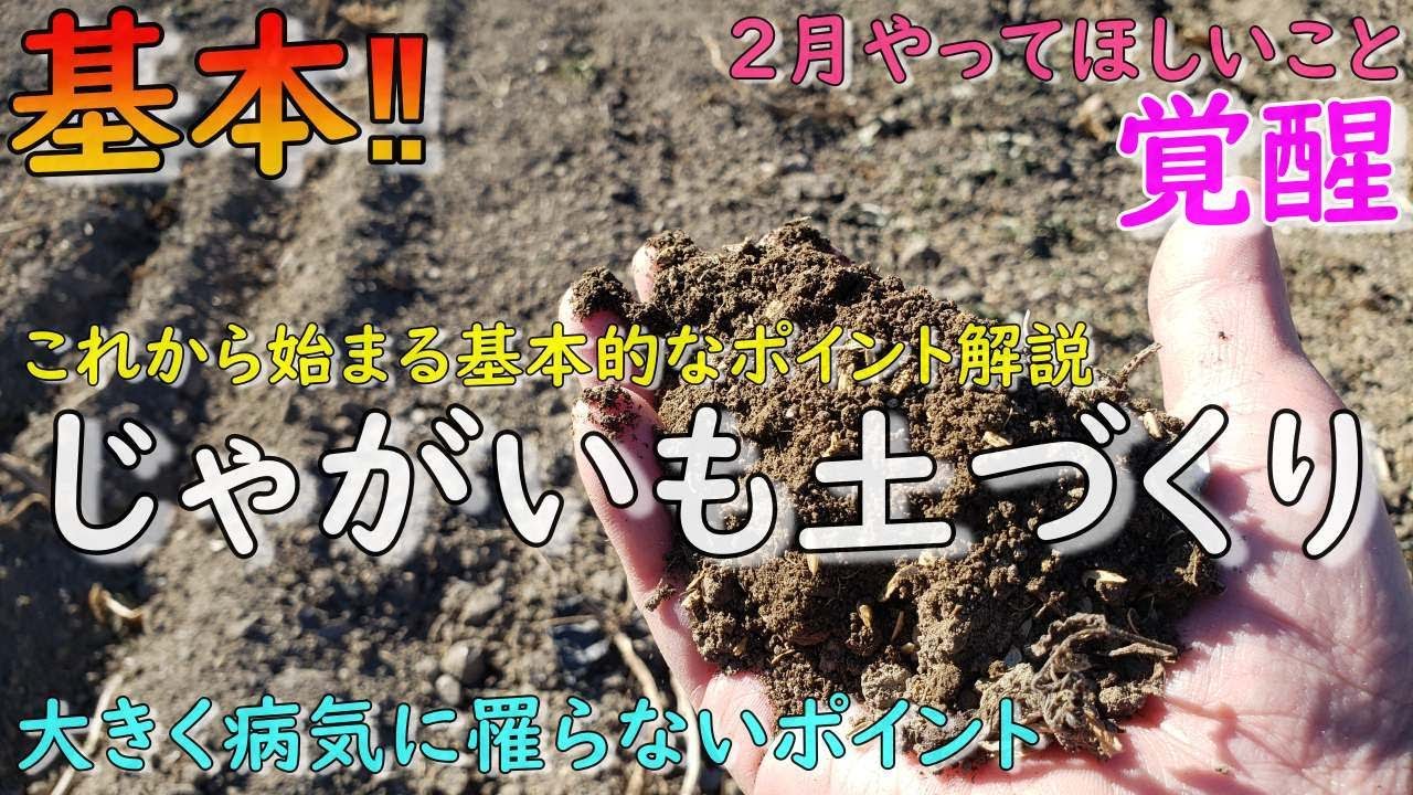 ２月にやってほしいこと！いいじゃがいもは土の覚醒から始まります