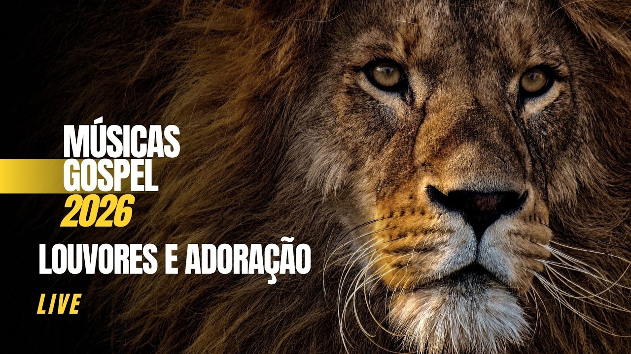 Louvores e Adoração | Músicas Gospel (Live)