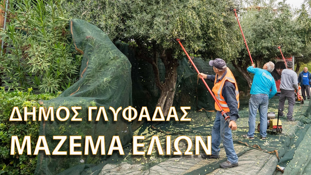 Δήμος Γλυφάδας | Λιομάζωμα