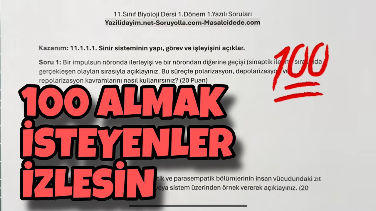 11.Sınıf Biyoloji 1.Dönem 1.Yazılı