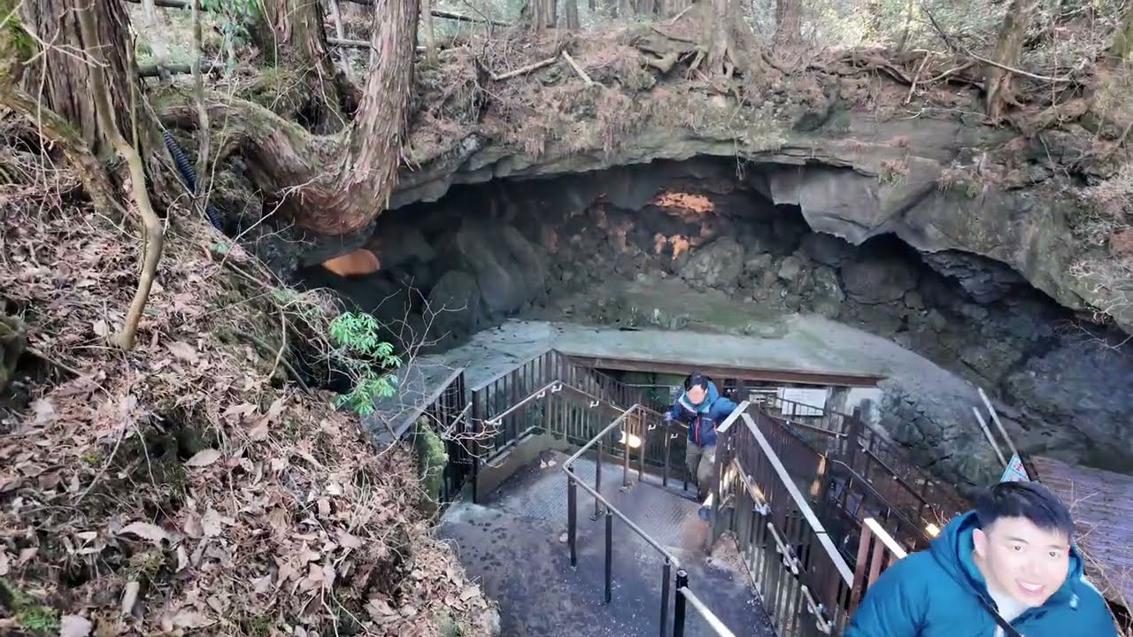 【富士山麓の天然記念物】鳴沢氷穴を探索｜地下21mの天然冷蔵庫・864年の富士山噴火がつくった溶岩洞窟