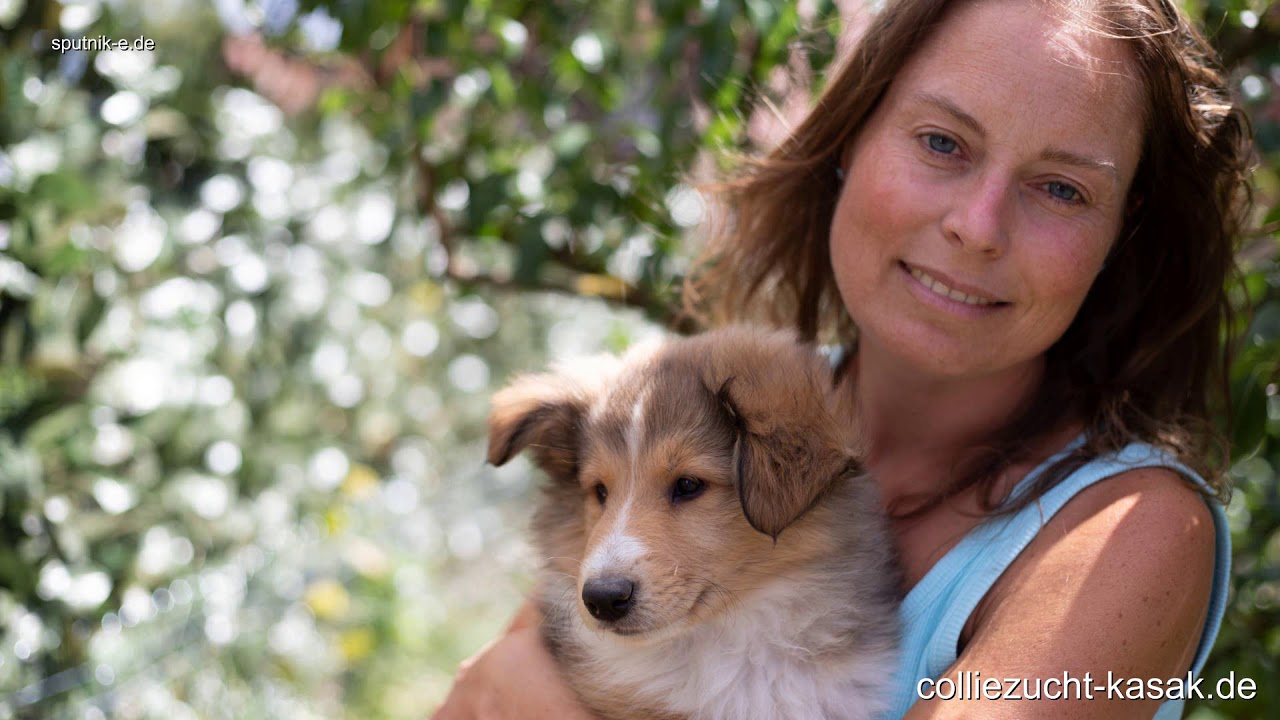 Silke Kasak stellt  ihren A-Wurf vor - Collies von der Brettachwiese