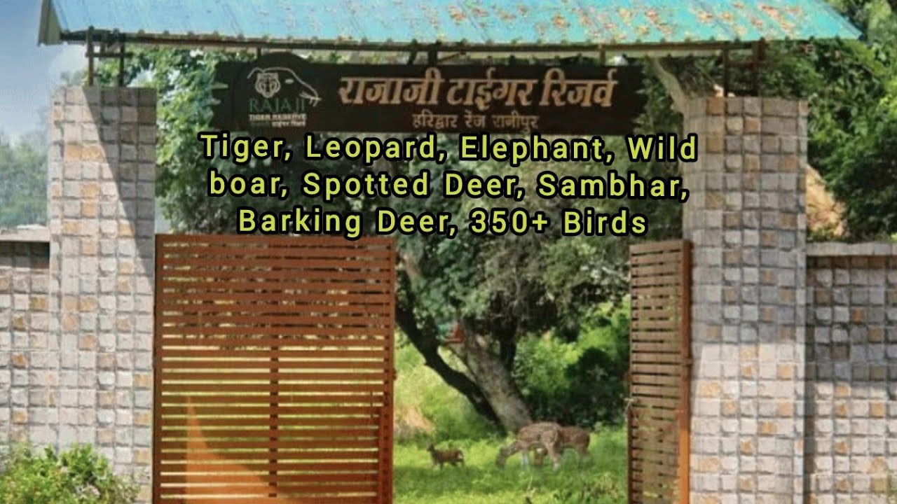 Rajaji National Park Ranipur Range | Rajaji National Park Haridwar | Ranipur Gate Jungle Safari