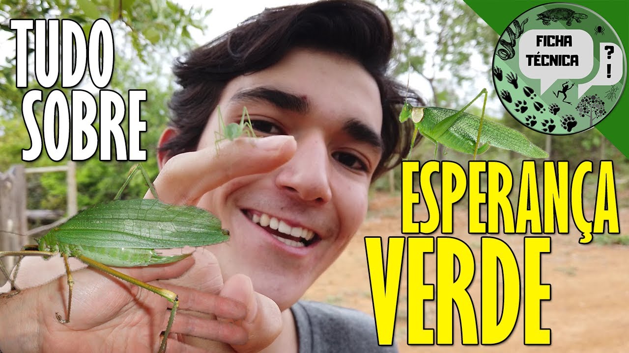 ESPERANÇA-VERDE: Um 
