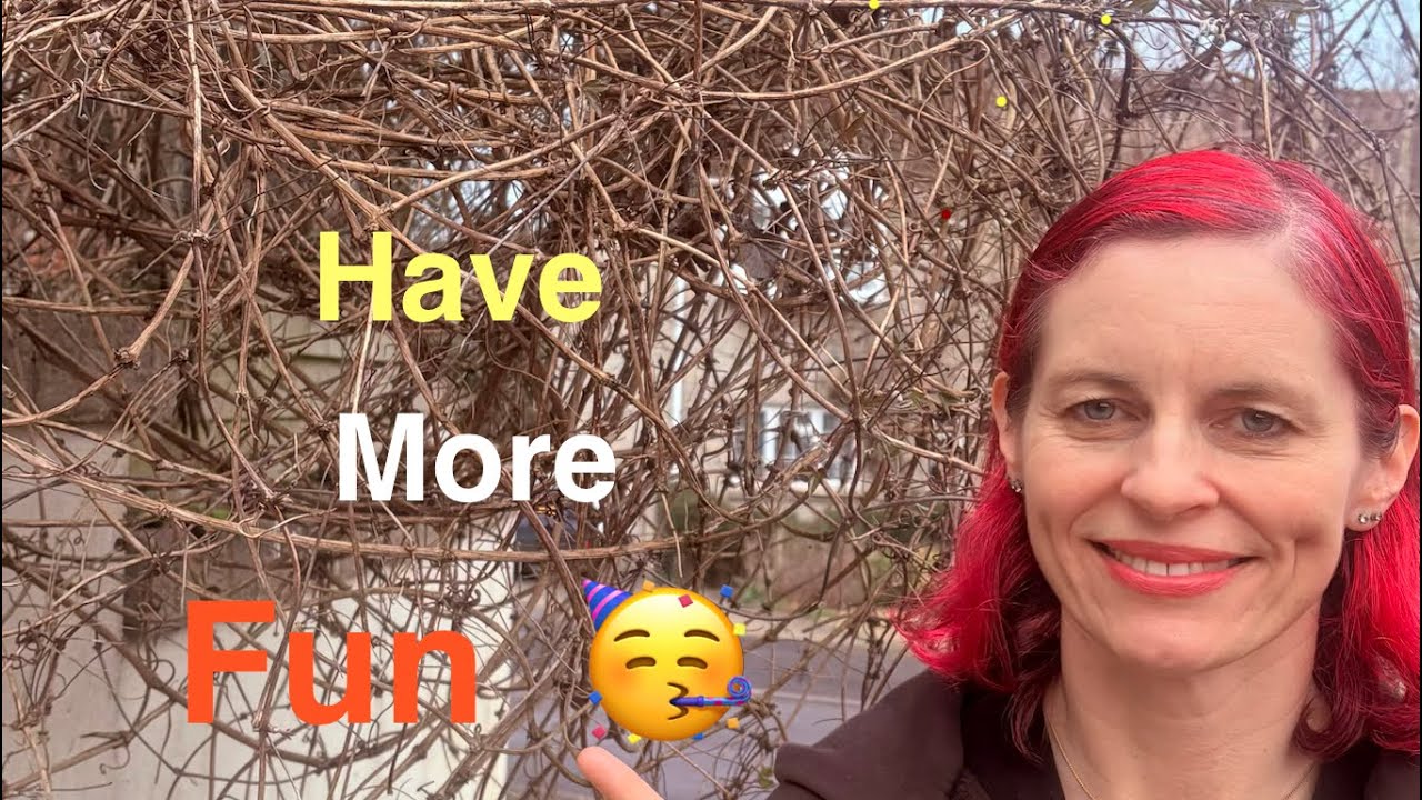How to Have More Fun - You will be more productive afterwards 