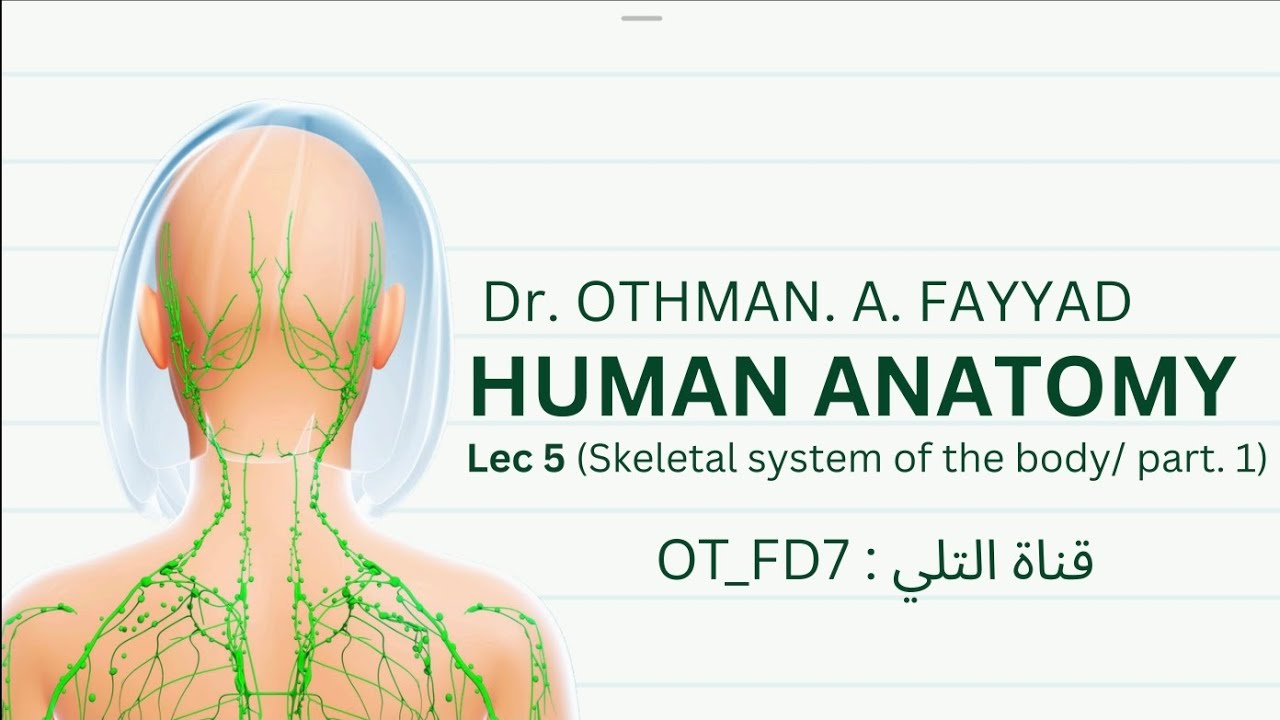 التشريح العام م/1 المحاضرة 5 عظام الجمجمة-Human anatomy lec 5 skull first stage 
