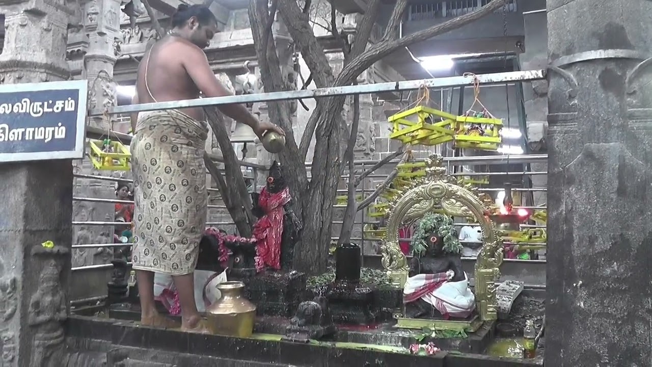 கோவில்பட்டி சிவாலயங்களில் மகா சிவராத்திரியை முன்னிட்டு சிறப்பு வழிபாடுகள் : நான்கு கால பூஜைகள்
