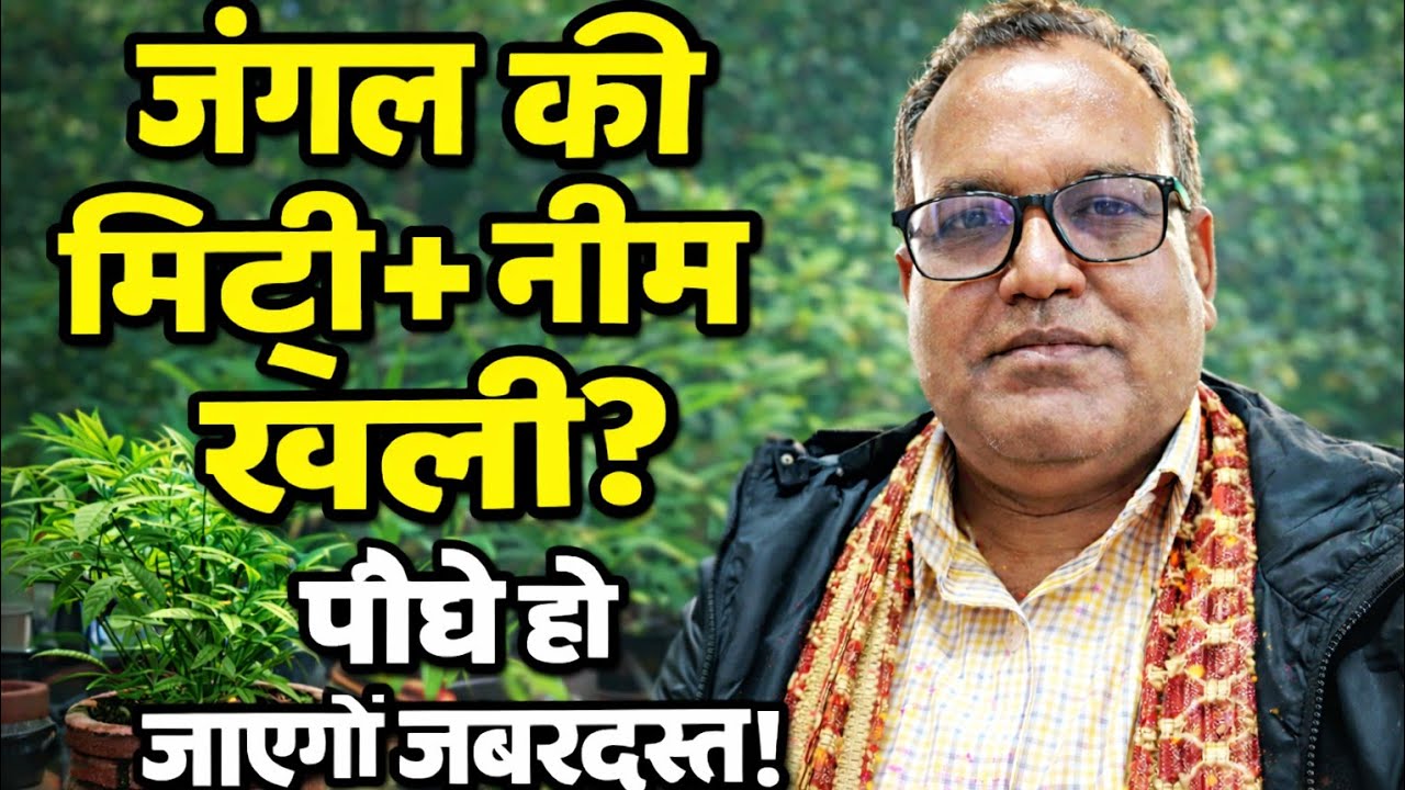 जंगल की मिट्टी + नीम खली का असली SECRET !! 🌿 7 दिन में दिखेगी जबरदस्त Growth 🍃