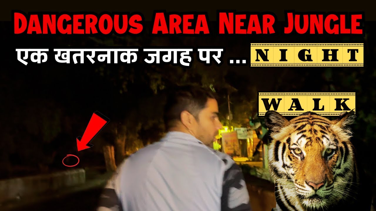 Jungle Night Walk | जंगल का यह हिस्सा बहुत खतरनाक है | Jim Corbett