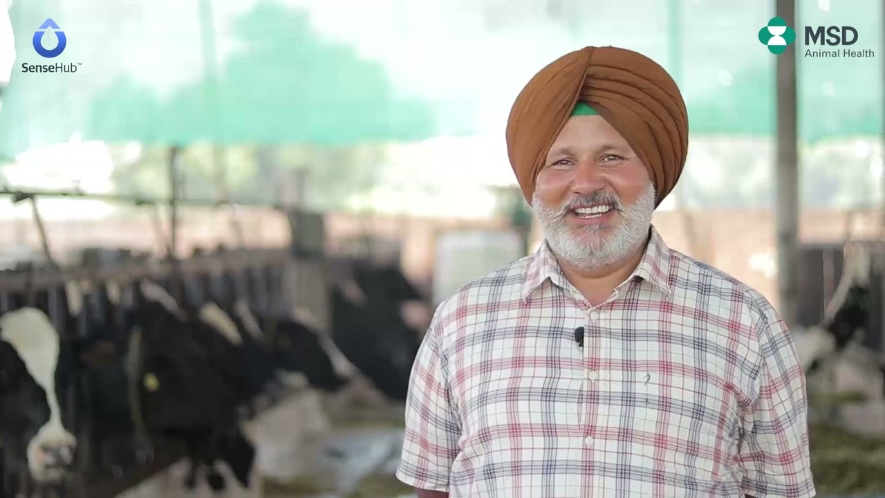 Farm with More Freedom - Indian Dairy Farmers shares about SenseHub