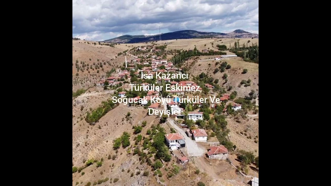 19 Şubat 2026
