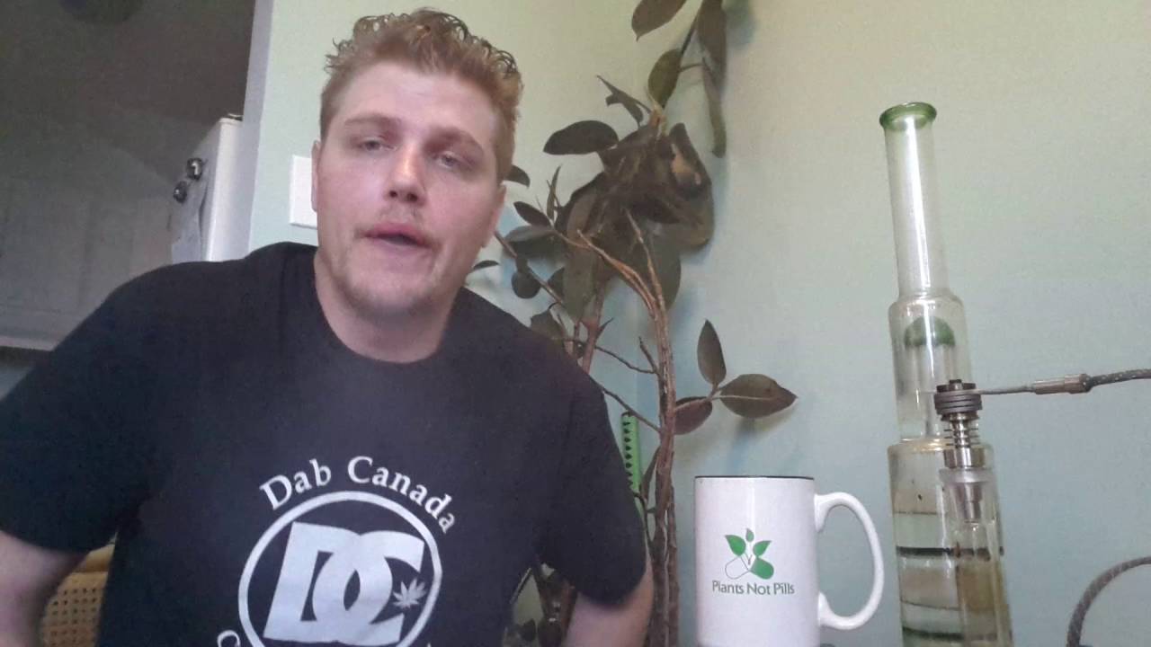 Tuna kush shatter review and brain reboot ;-)