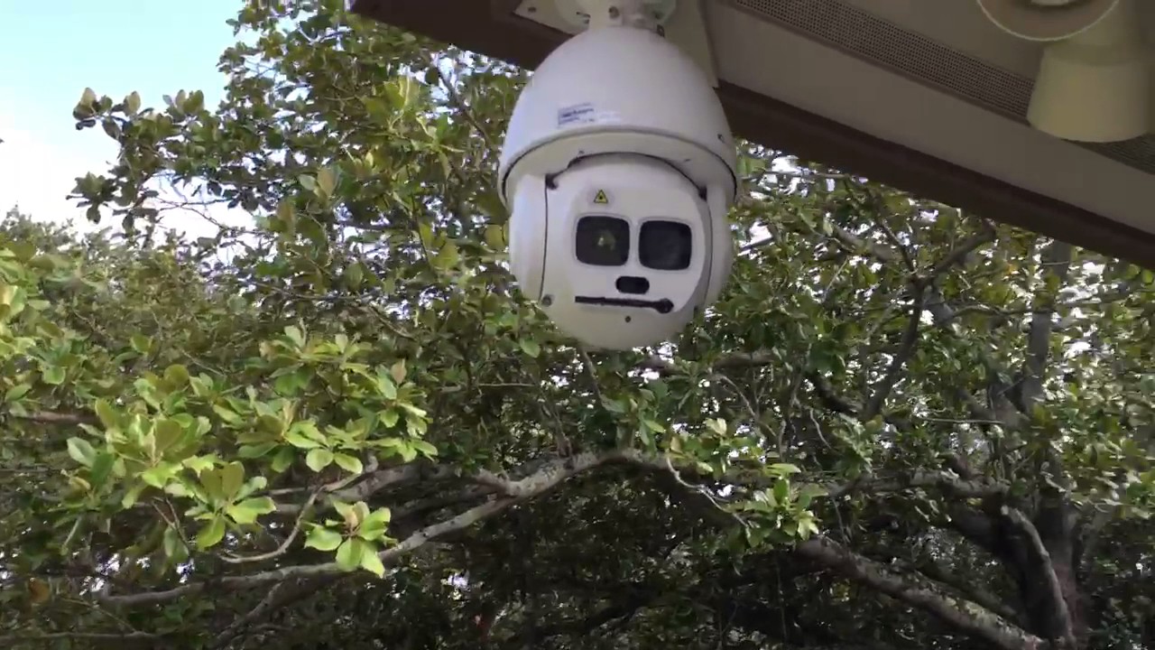 Starlight Laser PTZ Dome Camera