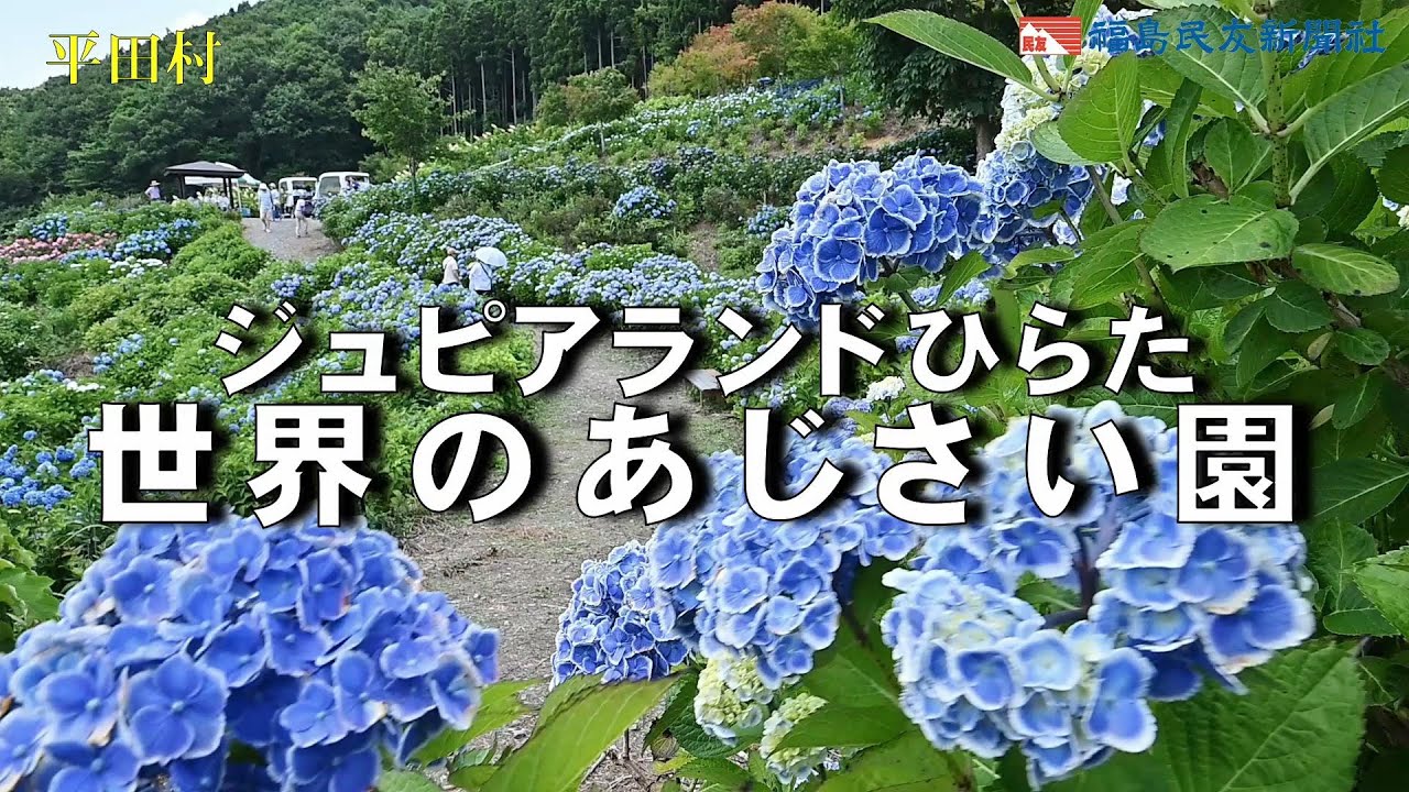 ジュピアランドひらた「世界のあじさい園」