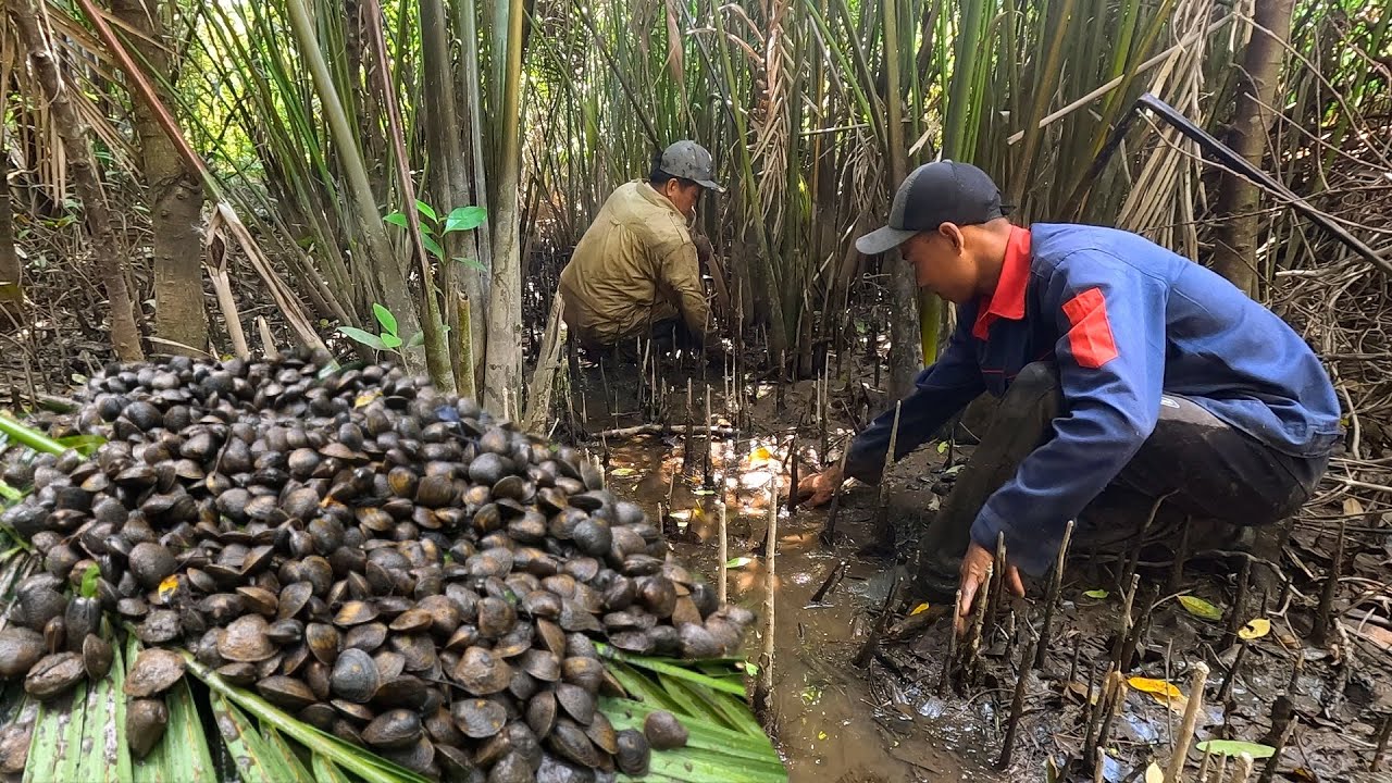 Dẫn Cha Vợ Vào Nơi Hoang Dã Đi Bắt Dộp Đến Trận Địa Thì Bị Đàn Mũi Tấn Công