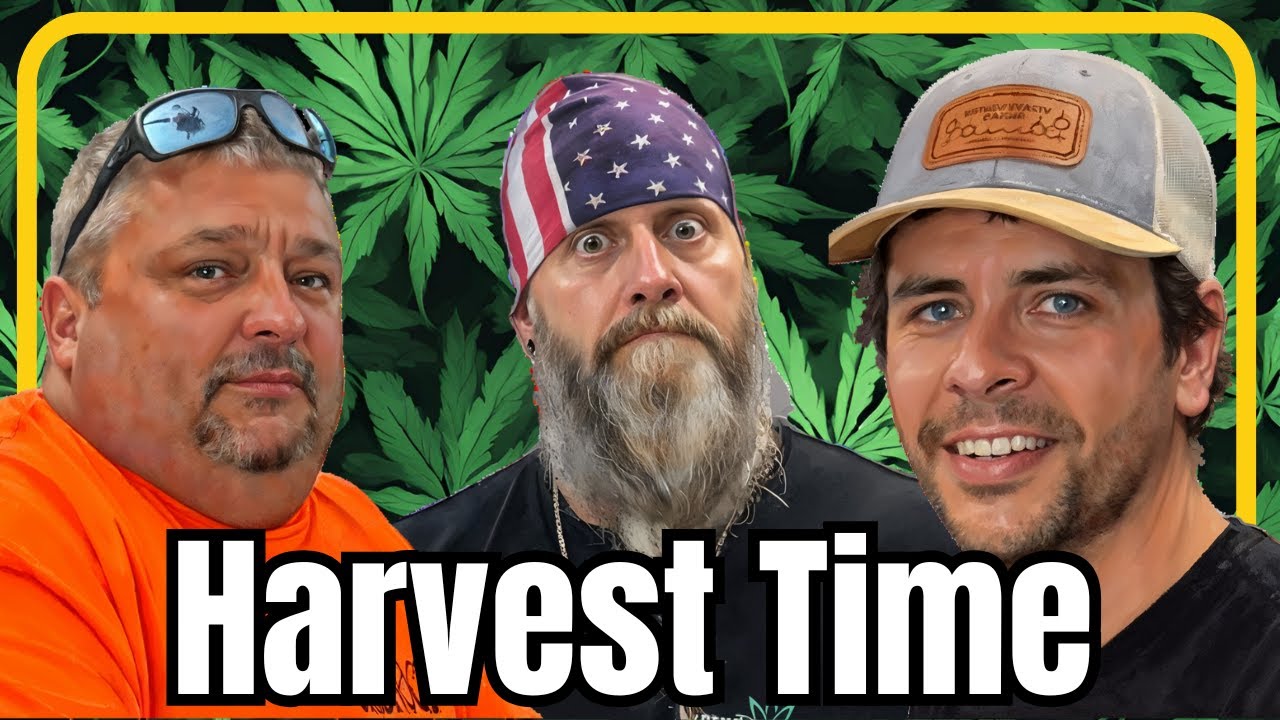 Virginia Homegrown Cannabis- How Commonwealth Canna is changing the Dirt Game