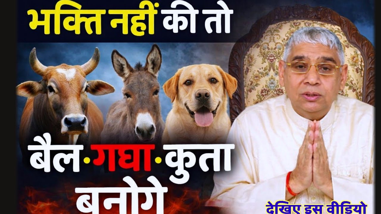 भक्ति नहीं की तो बैल, गधा, कुत्ता बनोगे? | Sant Rampal Ji Maharaj Satsang