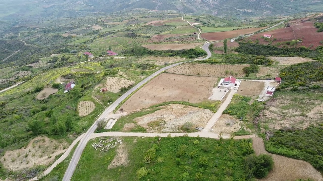 DJI 0277