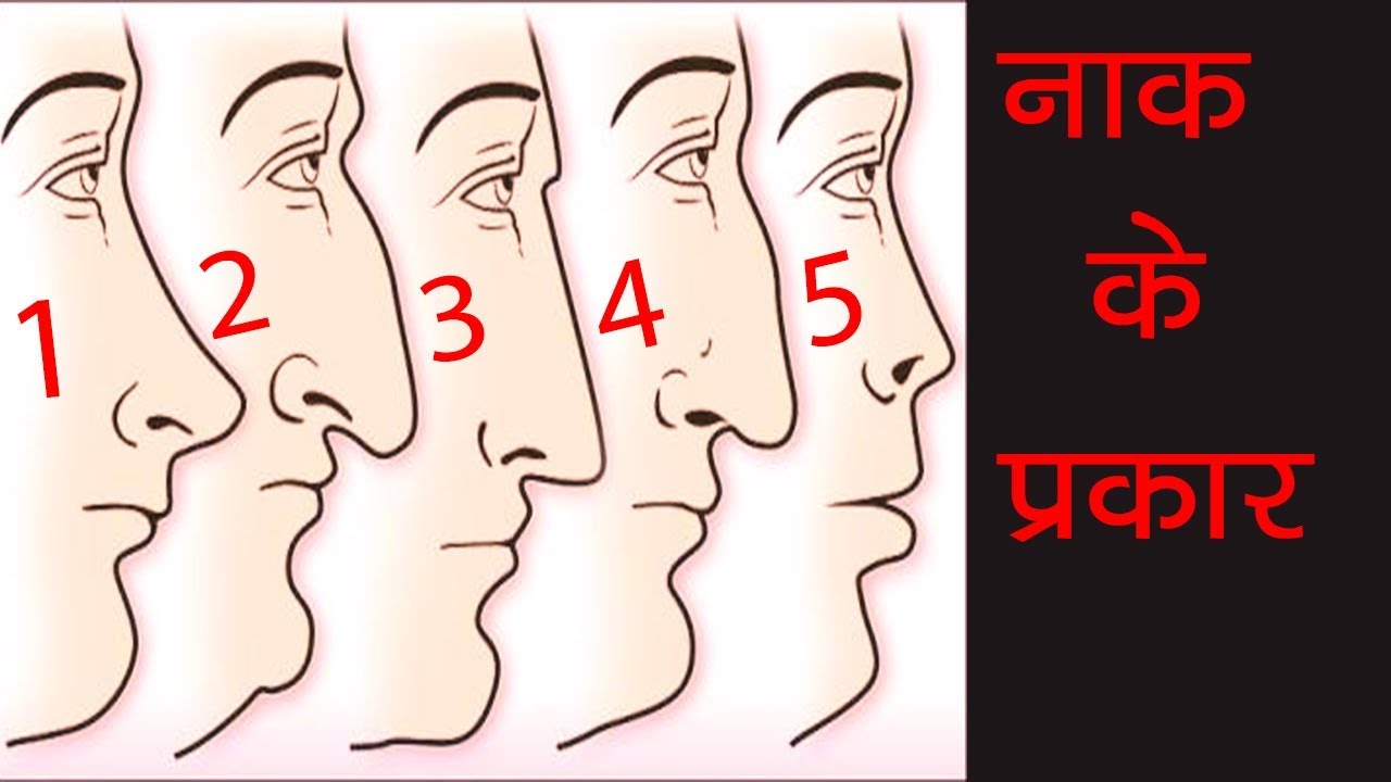नाक के प्रकार - नाक आपके बारे में बहुत  कुछ कहता है  | Various Personality Test and Studies