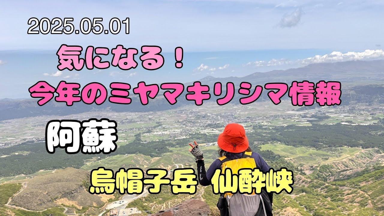 【2025.05.01】皆気になるミヤマキリシマ情報！阿蘇 烏帽子岳・仙酔峡 No.197
