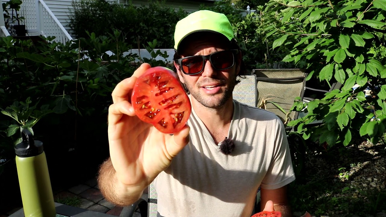 Heirloom Beefsteak Tomato Tasting - Ananas Noire, Brandywine, Cherokee Purple & More!