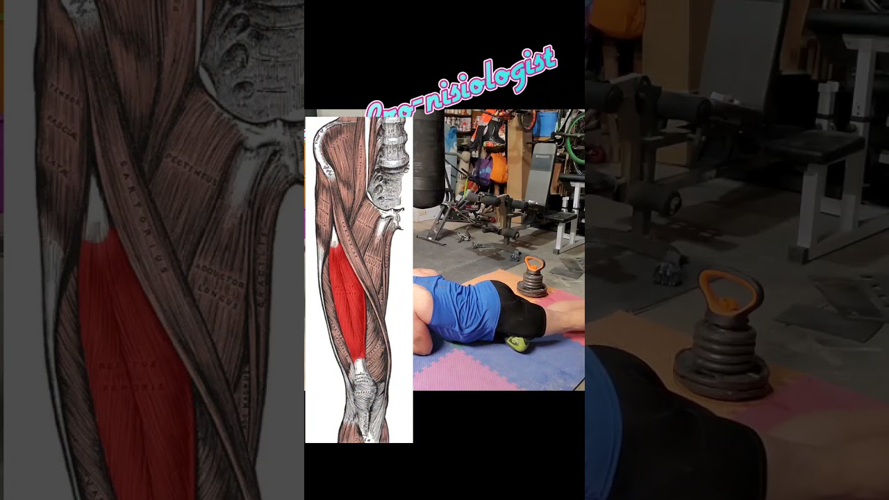 Physical therapy level 1.0 - Rectus Femoris stretch and release.  My PT found the problem