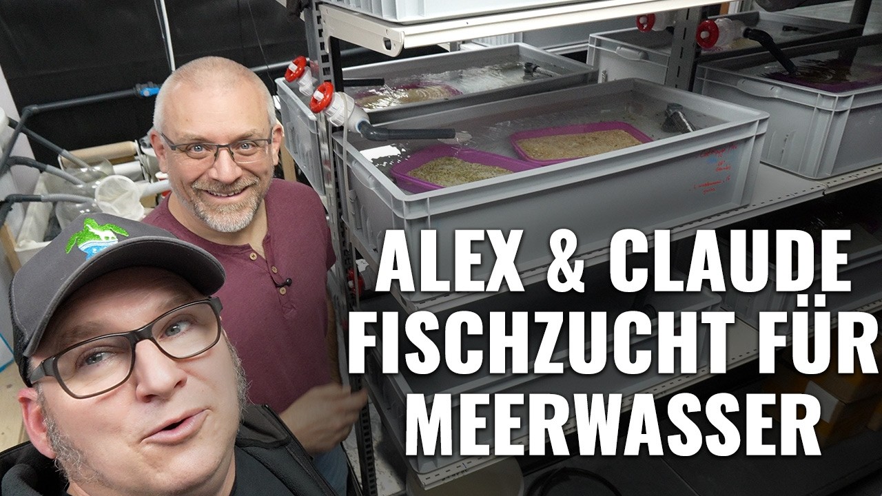 Wir schauen uns die KOMPLETTE Zuchtanlage von RecifatHome an! - Abyzz Vlog