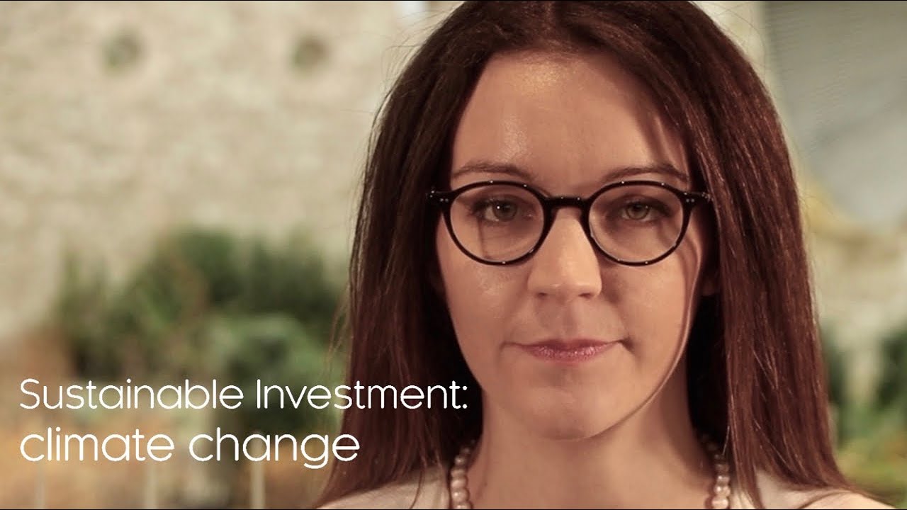 Sustainable Investment 1: climate change