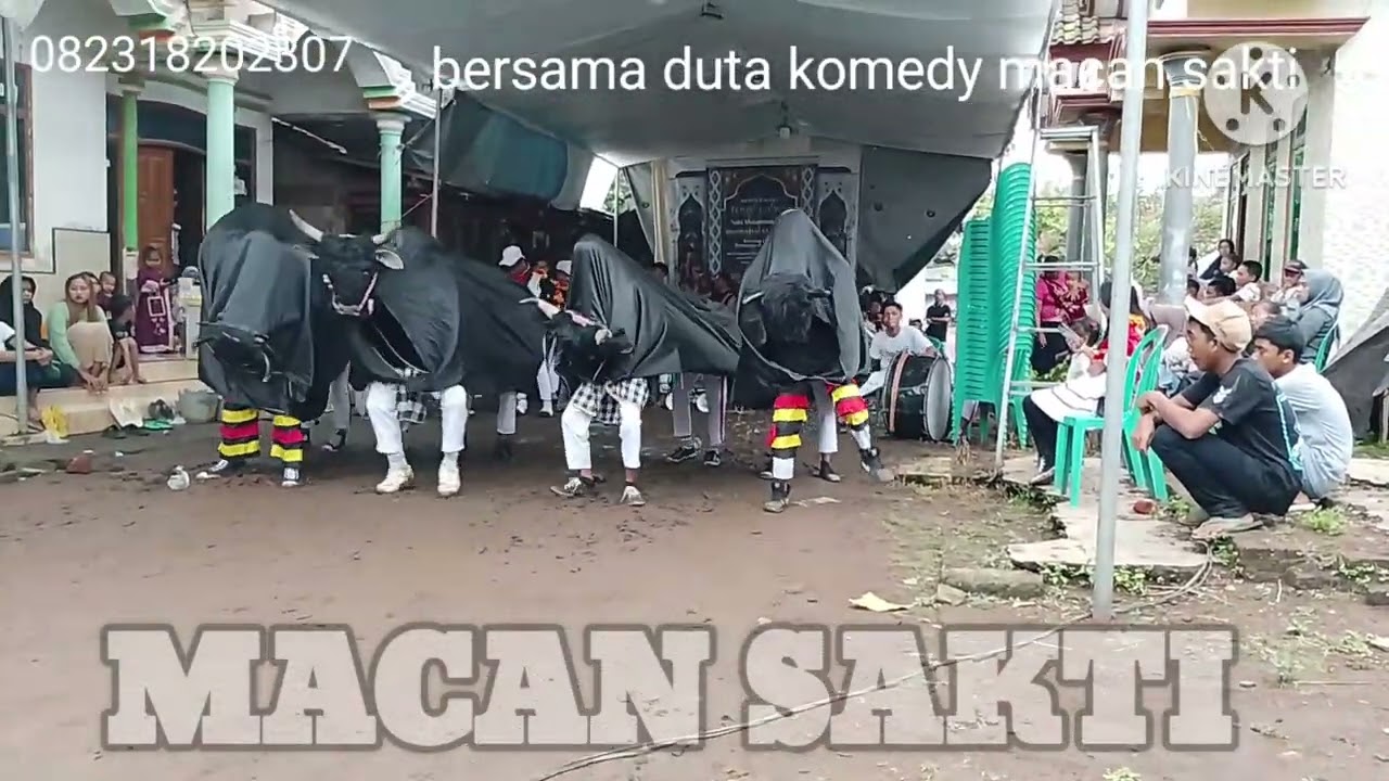 Sumber  tengah bersama macan sakti