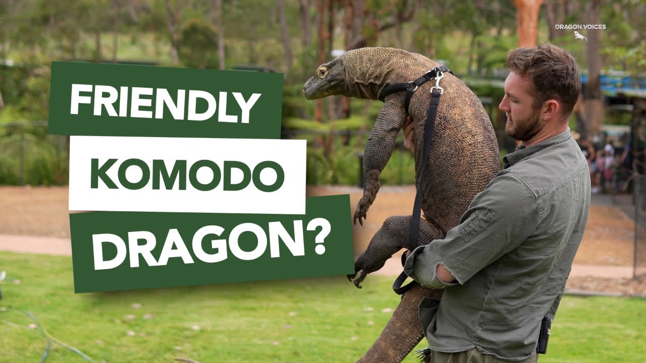 I Visited The AUSTRALIAN REPTILE PARK!