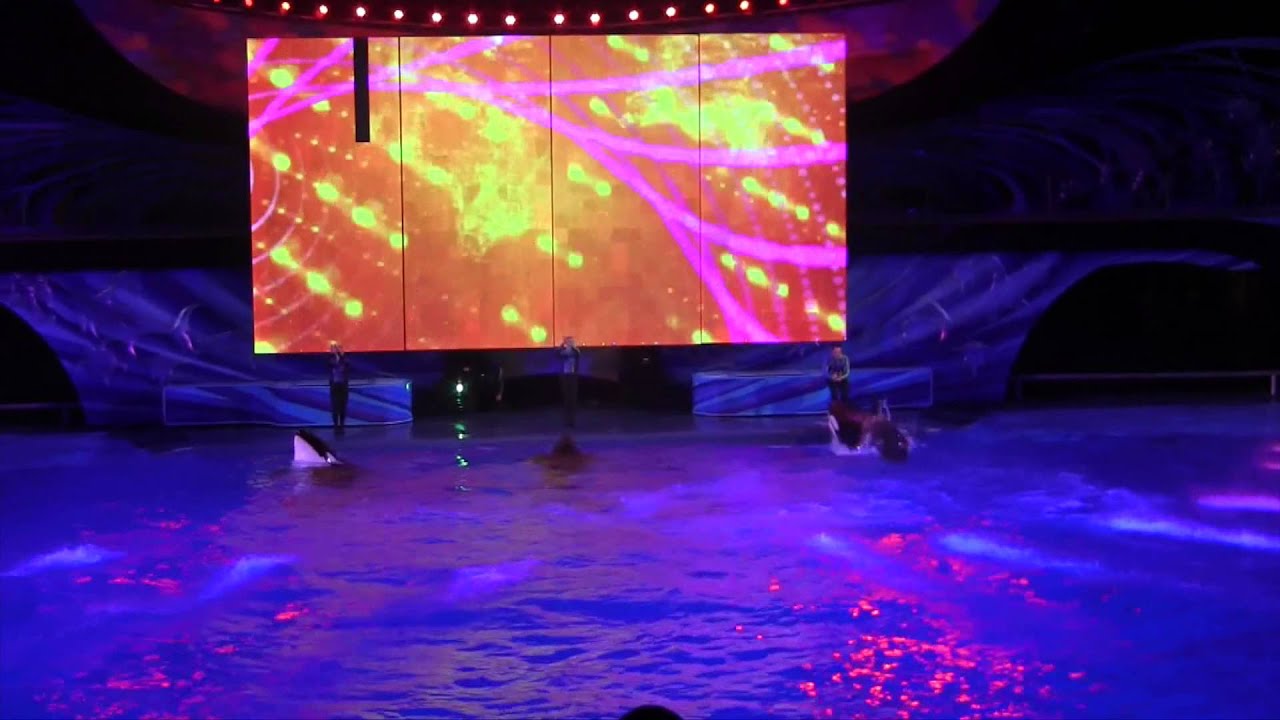 Shamu's Celebration: Light up the NIght
