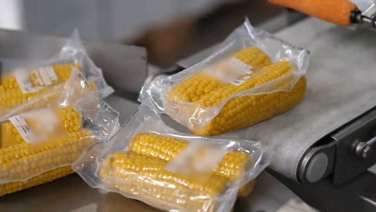 Zobacz, jak pracuje się przy produkcji kukurydzy w Holandii - Contrain 🌽