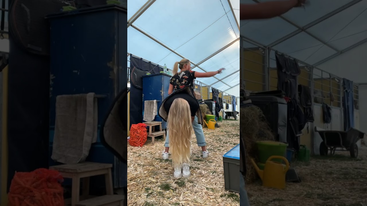 Pferdehofliebe - Wildpferd 😂 #shorts #pferde #horseriding