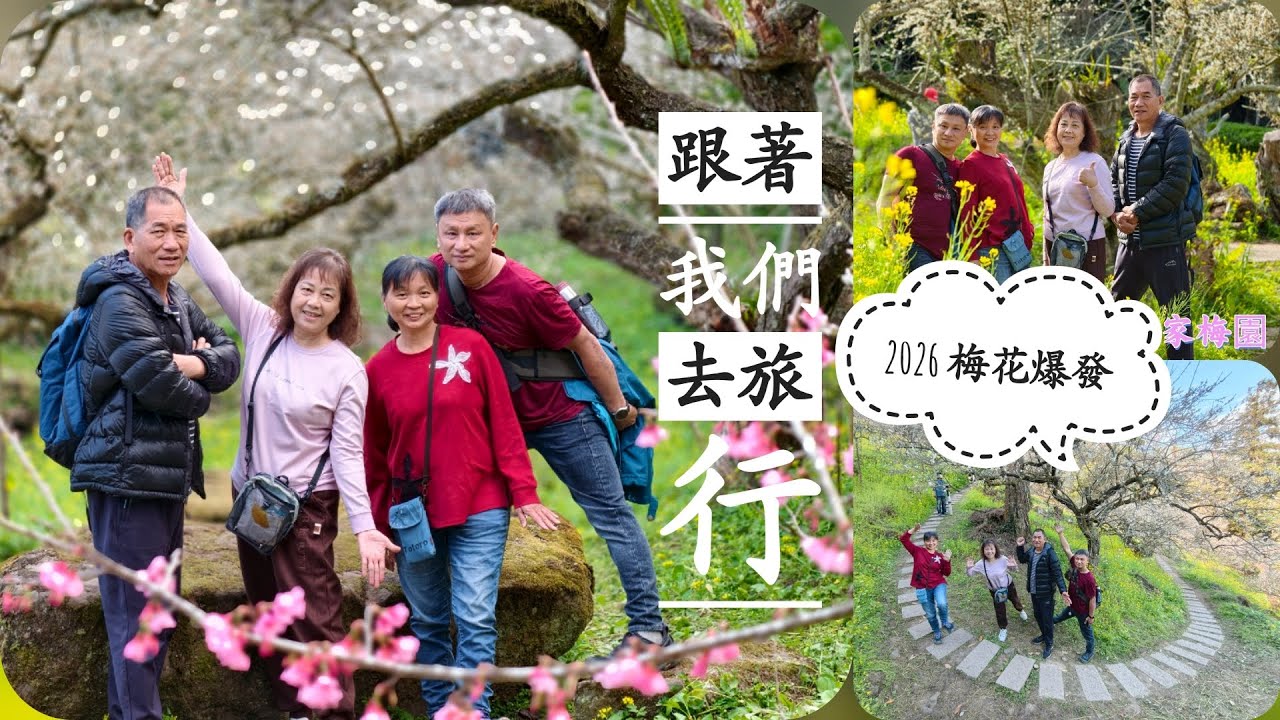 《走進白色花海-整座山都白了｜2026石家梅園歷年最美花況・空拍旅遊紀錄》2026/1/16 跟著我們去旅行