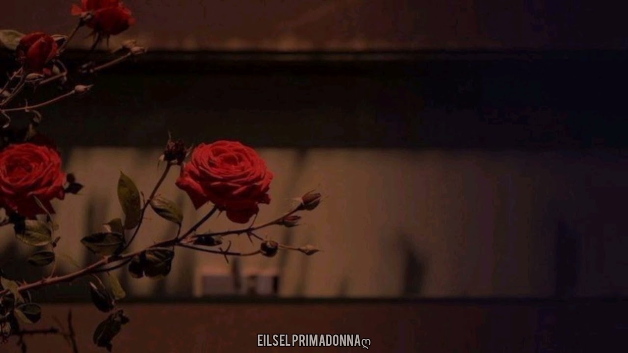 Degmesin ellerimiz ✨ Model // Sub. español //
