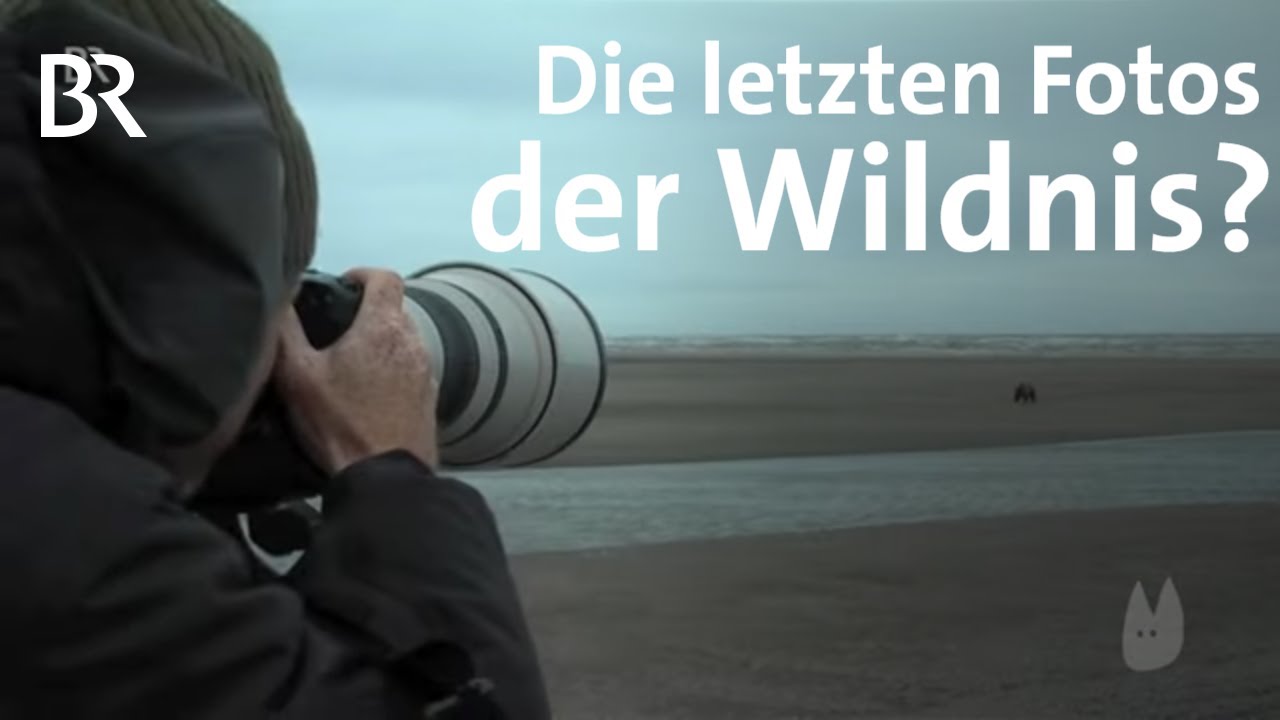 Warum wir Tiere fotografieren - so arbeitet ein Tierfotograf | Capriccio | BR