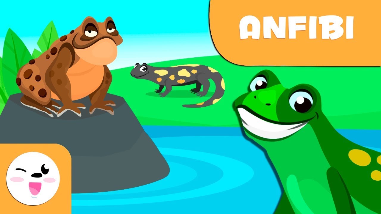 Gli anfibi per bambini - Animali vertebrati - Scienze naturali per bambini