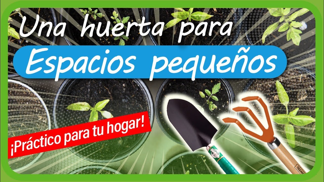 Cómo hacer un HUERTO en CASA con poco ESPACIO y ECONÓMICO