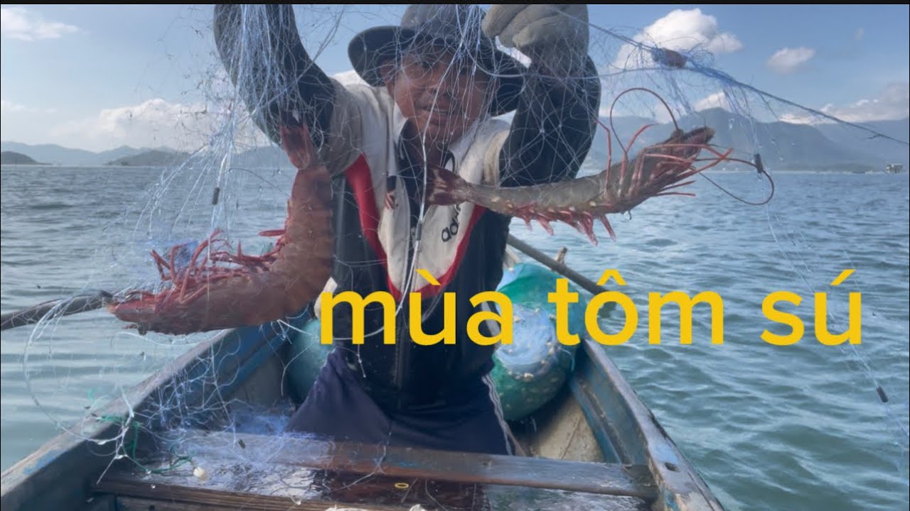 Tới mùa tôm sú đánh lưới dính tôm sú và ghẹ thấy mà ghiền 