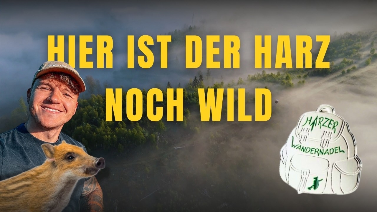 Harz Highlight: Magische Rappbodetalsperre I Harzer Wandernadel 52, 53, 56 & 60