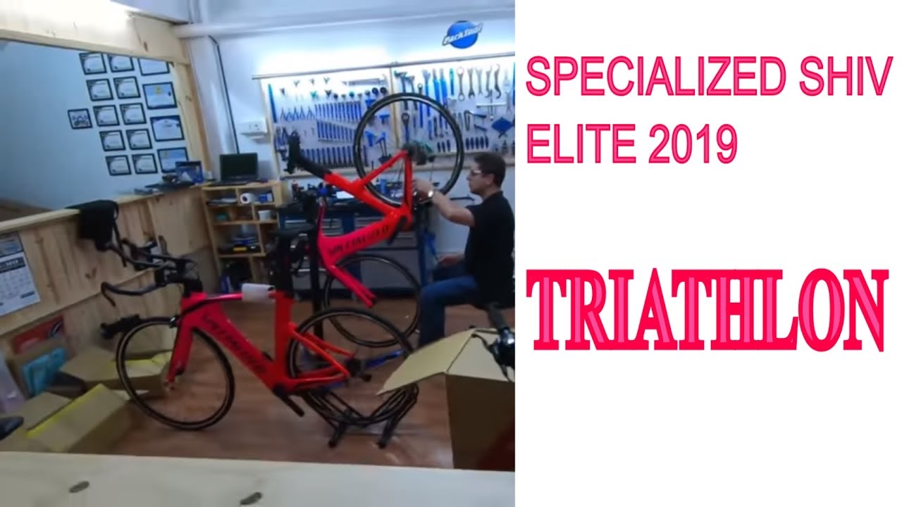 SPECIALIZED SHIV ELITE  2019, diferen&ccedil;a entre a bike de triathlon e crono !