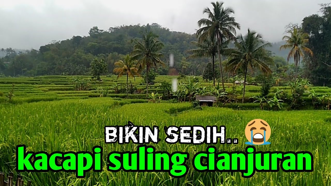 kacapi suling sedih dengan suasana pedesaan turun hujan || bikin kangen kampung halaman