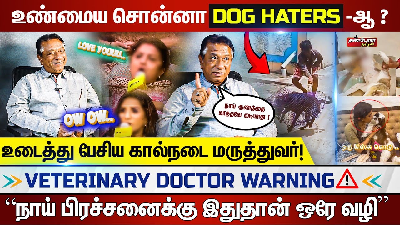 உண்மைய சொன்னா Dog Haters -ஆ!   நாய் பிரச்சனைக்கு இதுதான் ஒரே வழி ! | | Thandora Tamilan