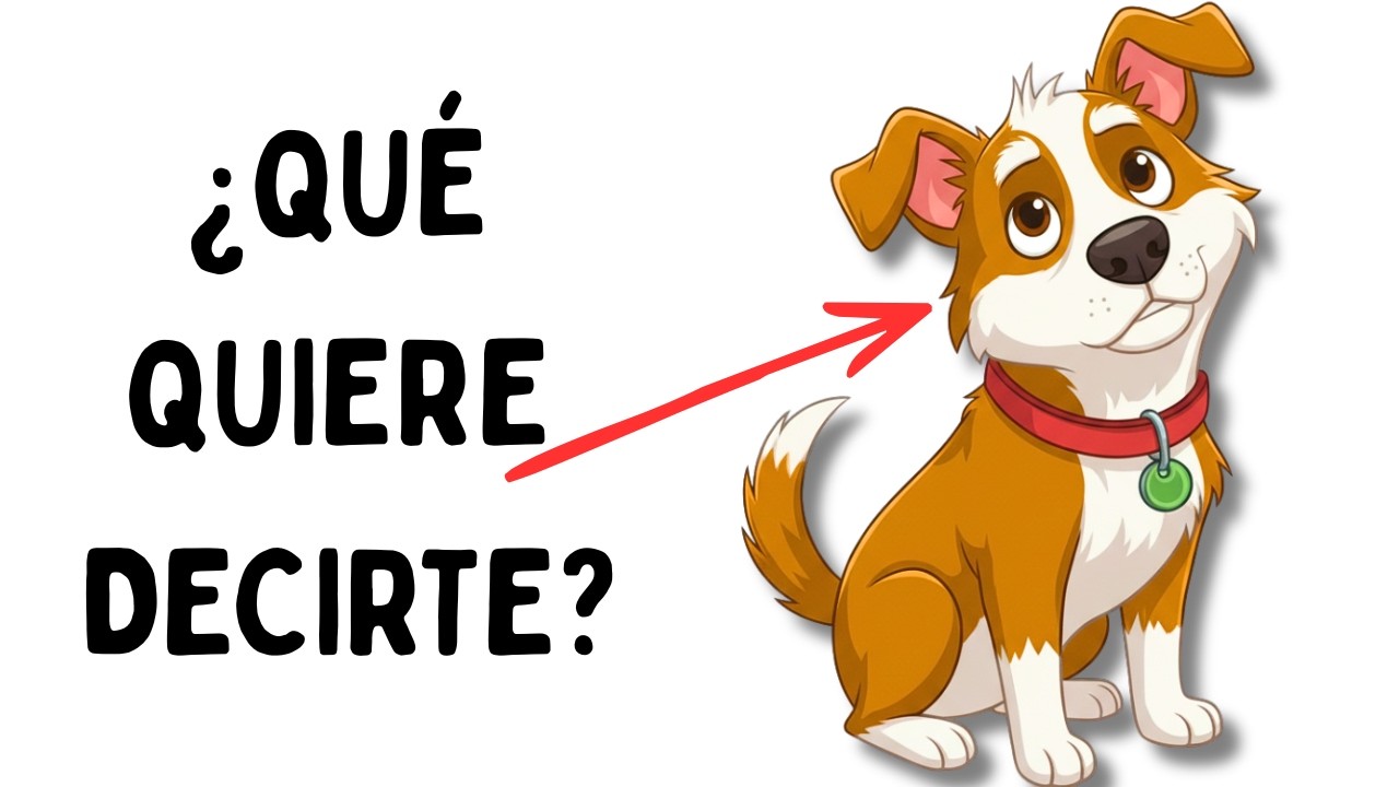 ¿Qué Intenta DECIRTE Tu Perro? El CÓDIGO Secreto Que Pocos Humanos Entienden